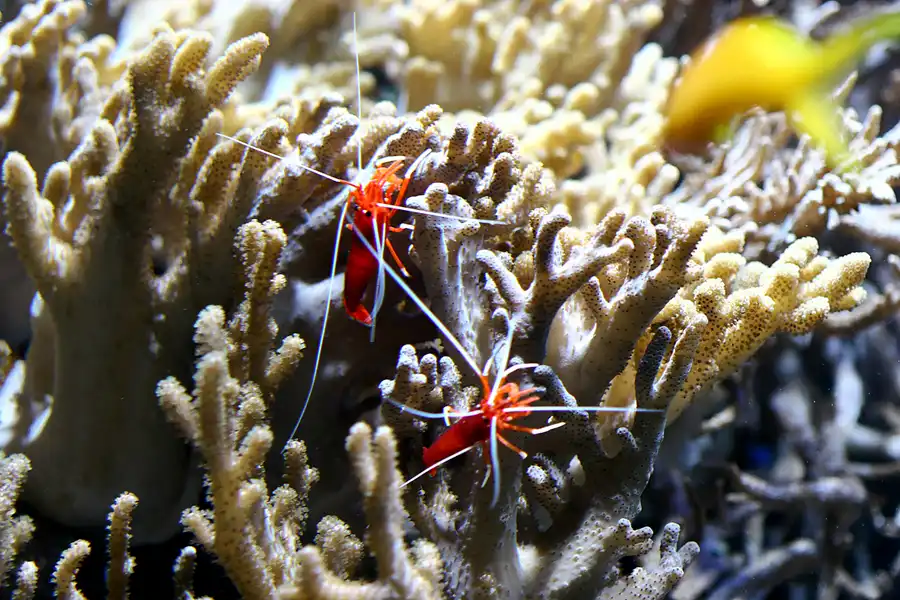 097 | 2006 | Stralsund | Meeresmuseum | © carsten riede fotografie