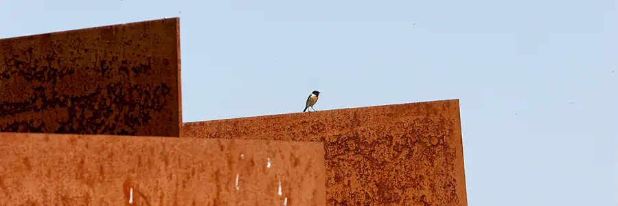 014 | 2006 | Grosser Goitzschesee | Umgebung | © carsten riede fotografie