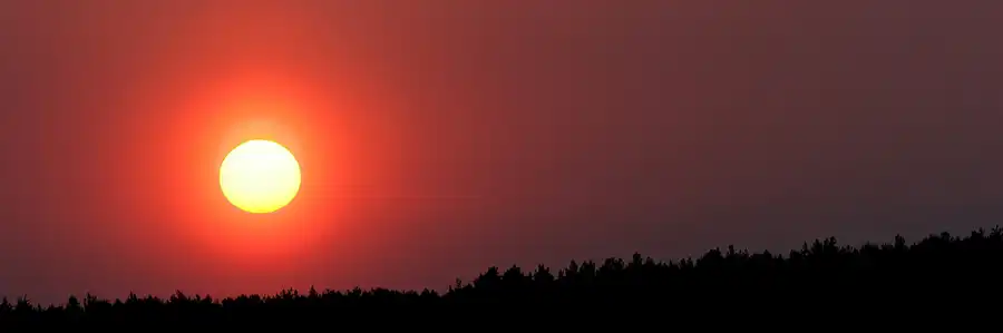 057 | 2006 | Lichterfeld | Umgebung | © carsten riede fotografie