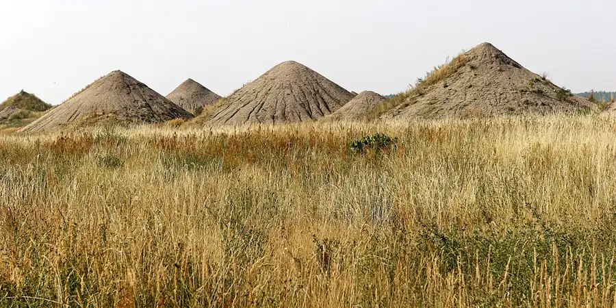 072 | 2006 | Grosser Goitzschesee | Umgebung | © carsten riede fotografie