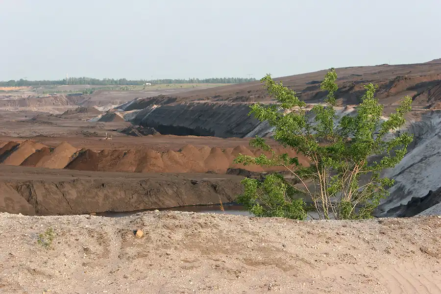 043 | 2006 | Tagebau Meuro | Rekultivierung in den Grossräschener See | © carsten riede fotografie