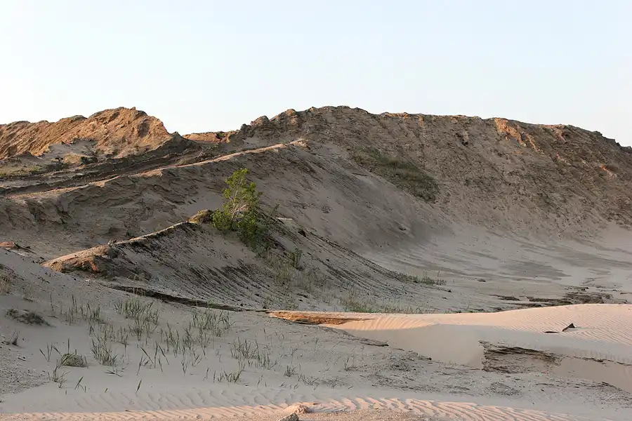 048 | 2006 | Tagebau Meuro | Rekultivierung in den Grossräschener See | © carsten riede fotografie