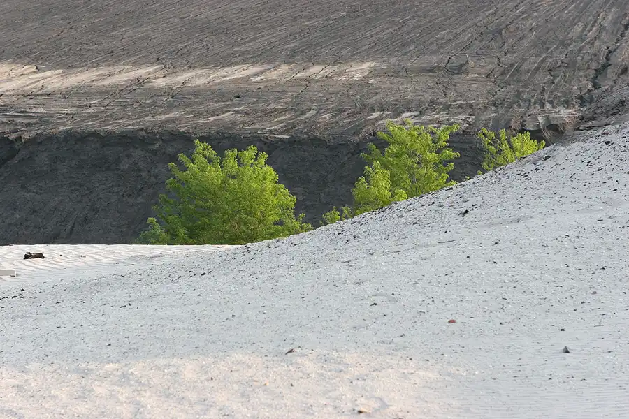 051 | 2006 | Tagebau Meuro | Rekultivierung in den Grossräschener See | © carsten riede fotografie