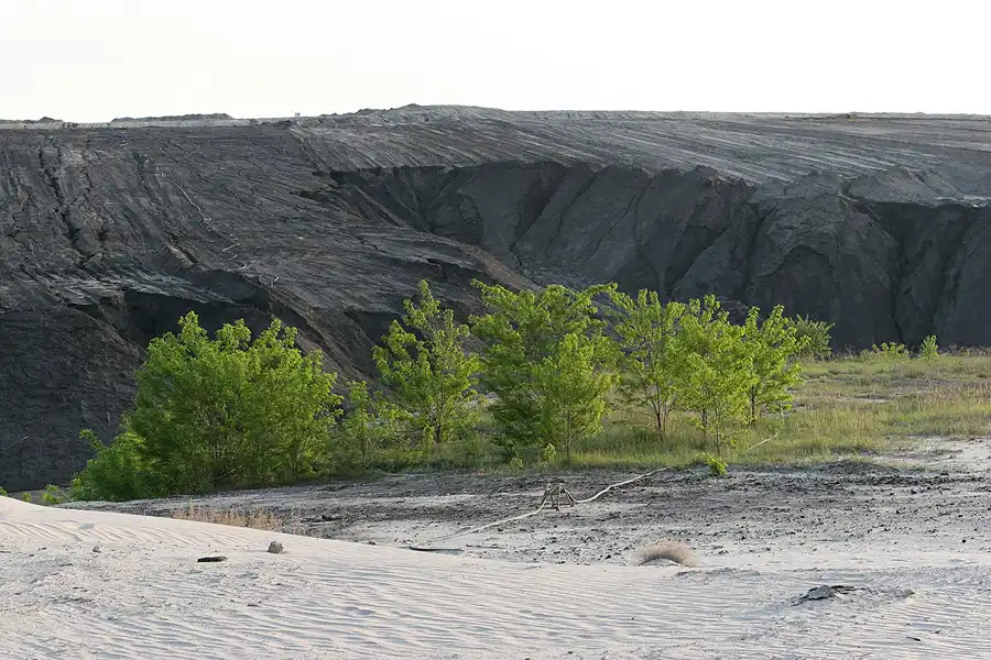 059 | 2006 | Tagebau Meuro | Rekultivierung in den Grossräschener See | © carsten riede fotografie