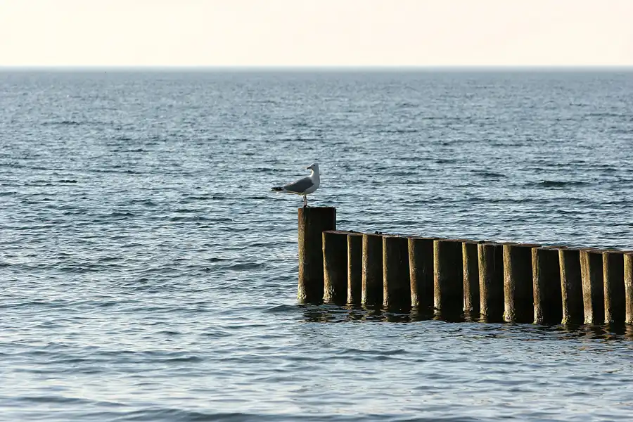 006 | 2006 | Ahrenshoop | © carsten riede fotografie