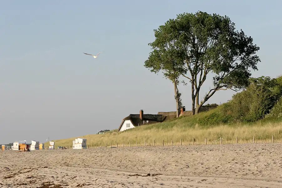 007 | 2006 | Ahrenshoop | © carsten riede fotografie