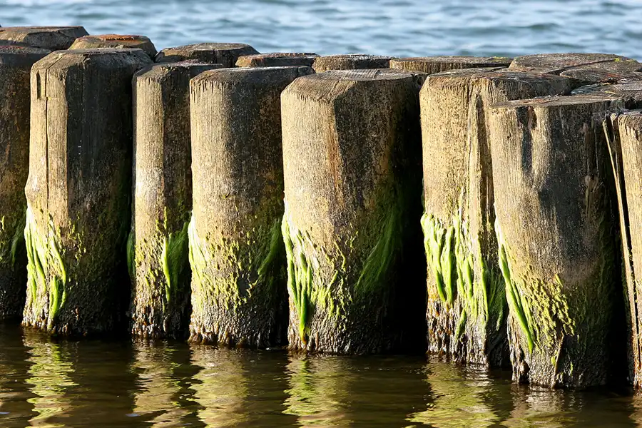 011 | 2006 | Ahrenshoop | © carsten riede fotografie
