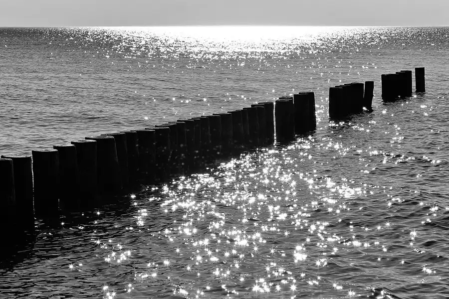 024 | 2006 | Ahrenshoop | © carsten riede fotografie