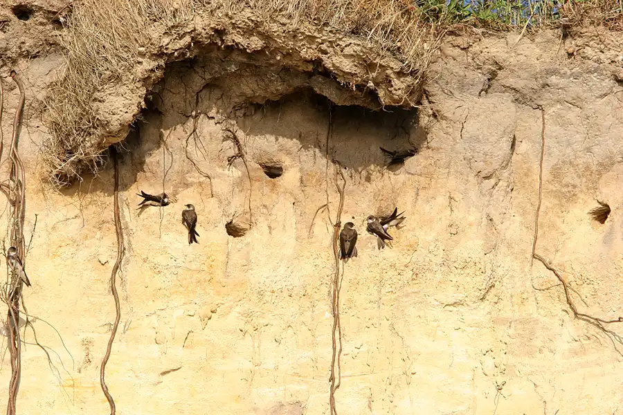 028 | 2006 | Ahrenshoop | © carsten riede fotografie