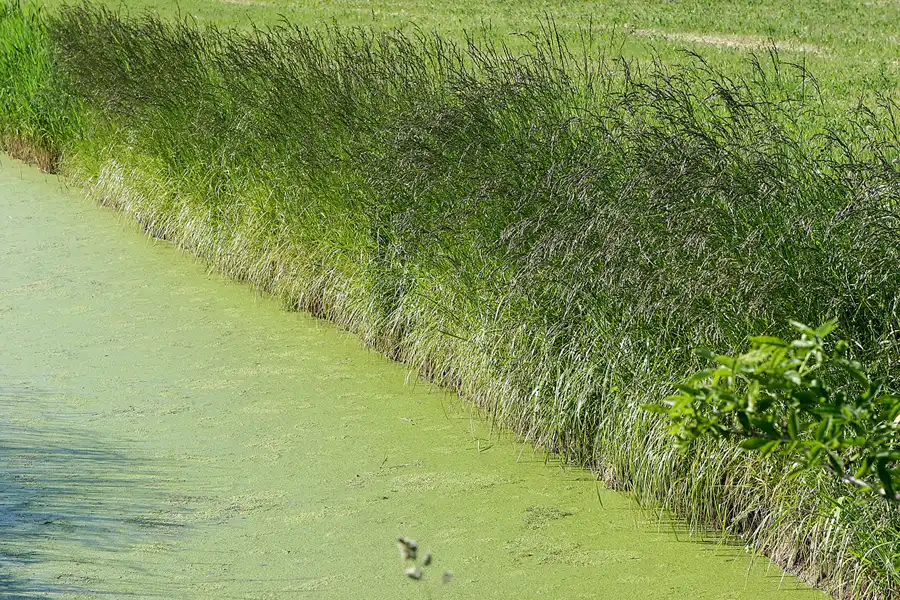 033 | 2006 | Ahrenshoop | © carsten riede fotografie