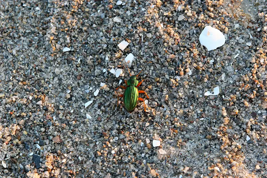 040 | 2006 | Ahrenshoop | © carsten riede fotografie