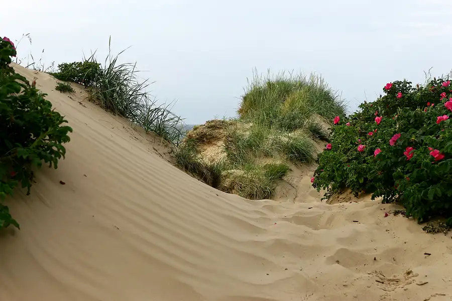 048 | 2006 | Ahrenshoop | © carsten riede fotografie