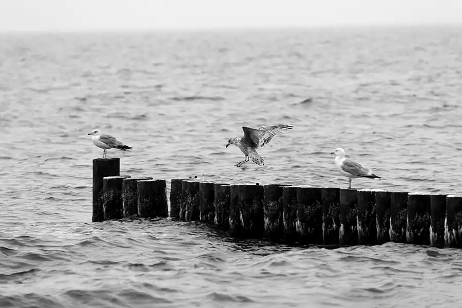 076 | 2006 | Ahrenshoop | © carsten riede fotografie