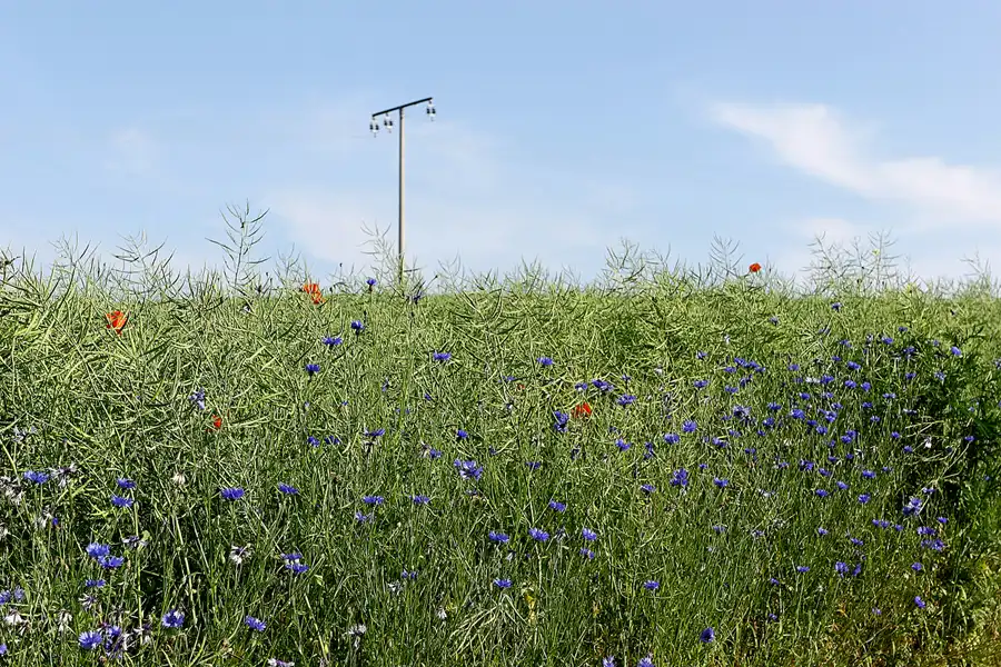 013 | 2006 | Lohme | © carsten riede fotografie