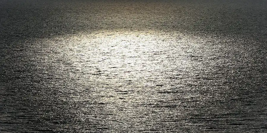 029 | 2006 | Lohme | © carsten riede fotografie