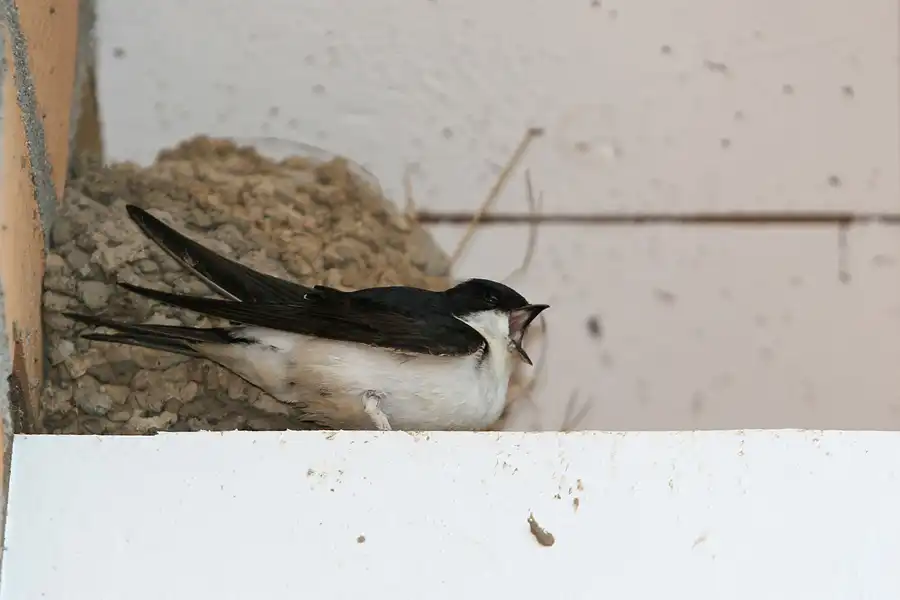 032 | 2006 | Lohme | © carsten riede fotografie