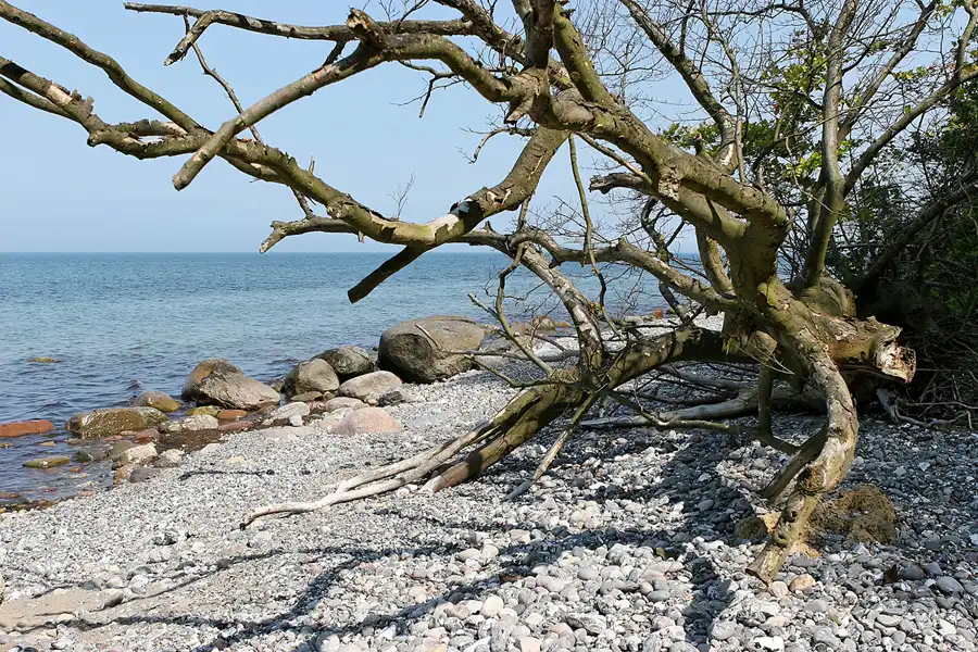 039 | 2006 | Stubbenkammer – Lohme | © carsten riede fotografie