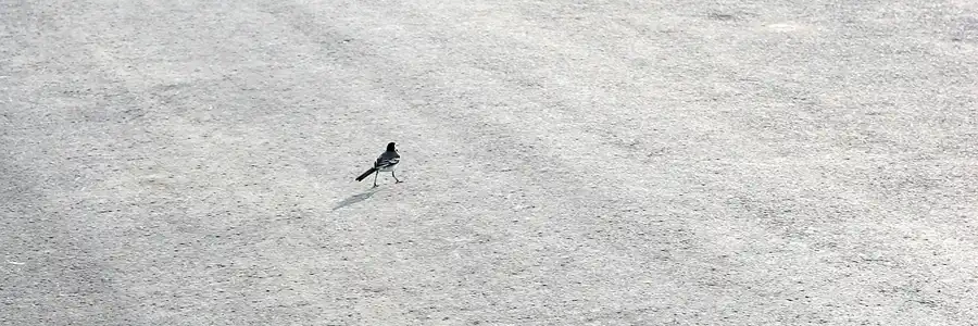 066 | 2006 | Kap Arkona | © carsten riede fotografie