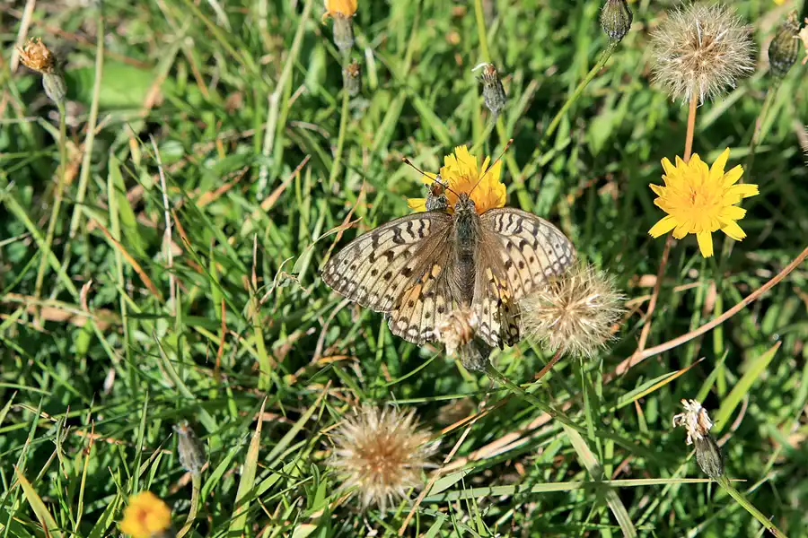 122 | 2006 | Pontresina | © carsten riede fotografie