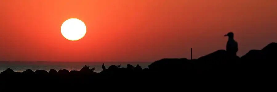 010 | 2006 | Lohme | © carsten riede fotografie