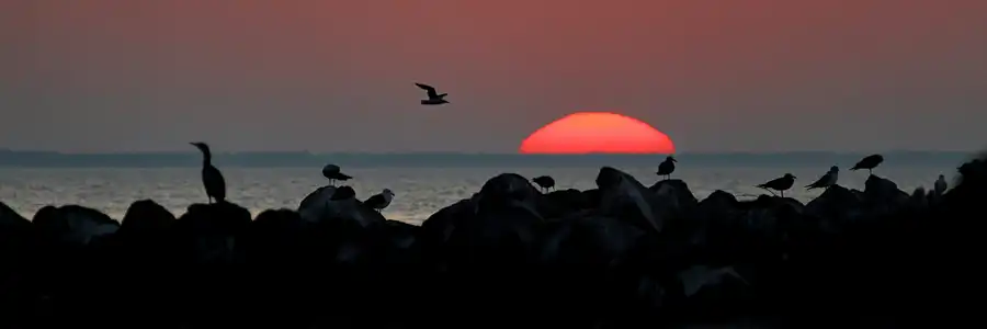 011 | 2006 | Lohme | © carsten riede fotografie