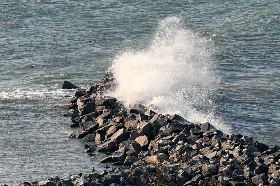 012 | 2006 | Lohme | © carsten riede fotografie