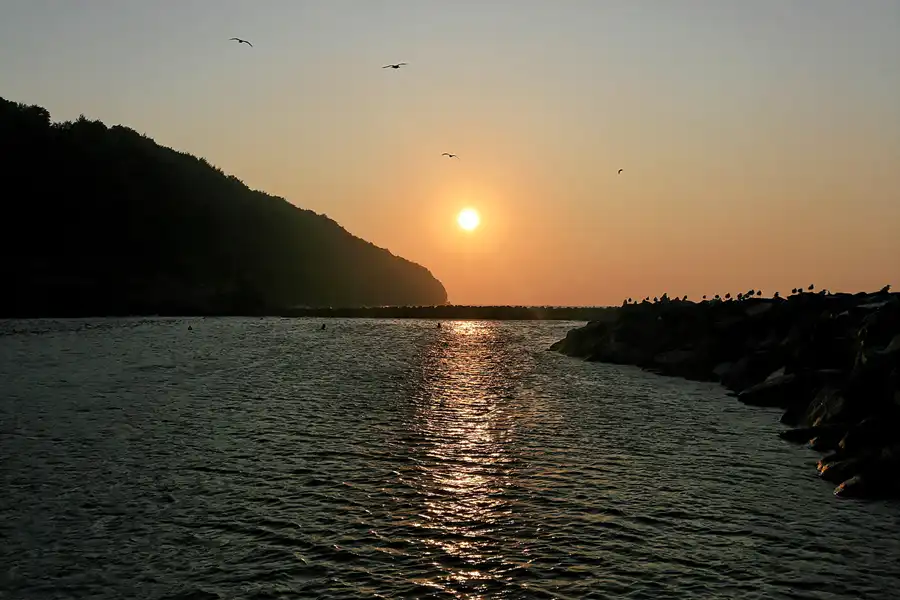 021 | 2006 | Lohme | © carsten riede fotografie