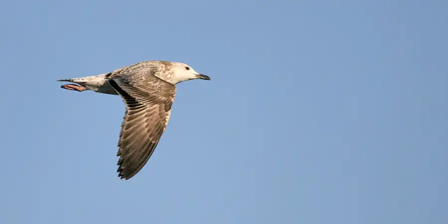 025 | 2006 | Lohme | © carsten riede fotografie