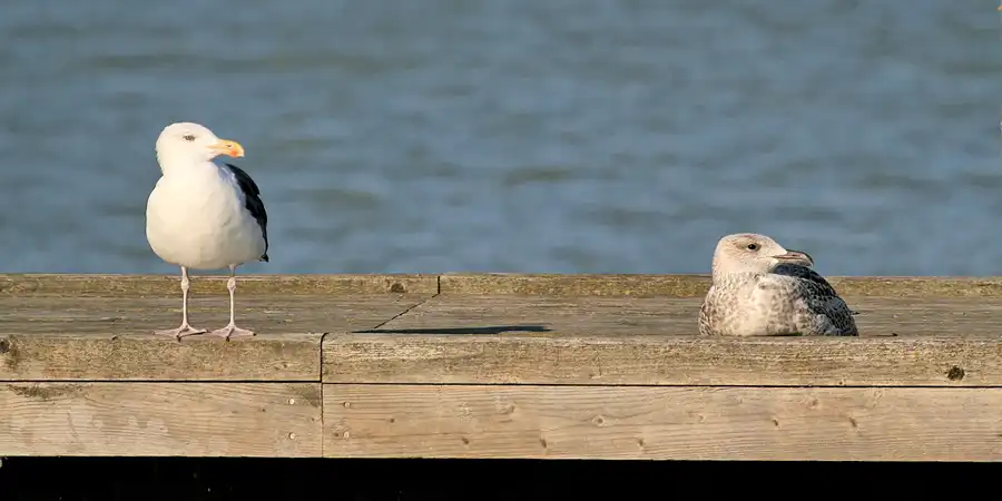 028 | 2006 | Lohme | © carsten riede fotografie