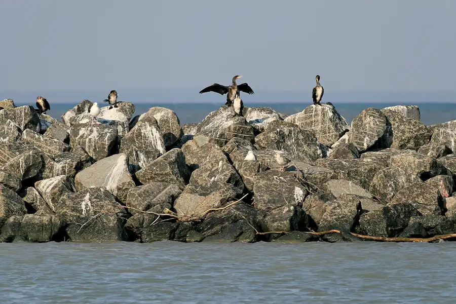 029 | 2006 | Lohme | © carsten riede fotografie