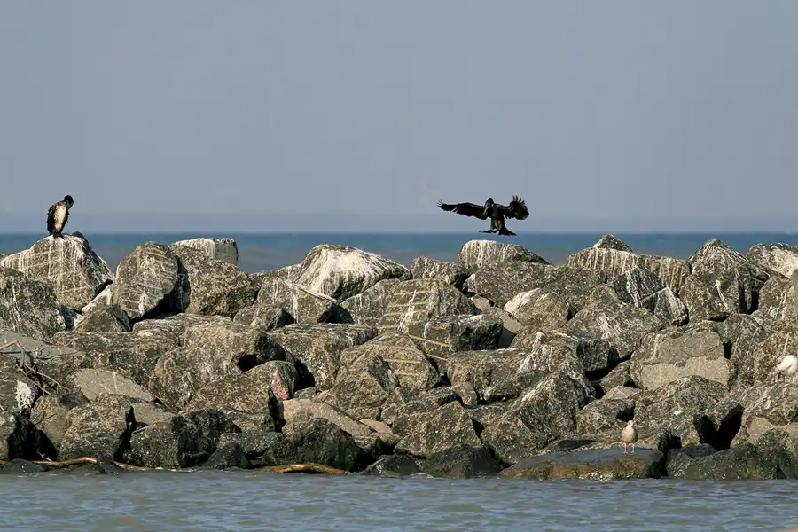 031 | 2006 | Lohme | © carsten riede fotografie