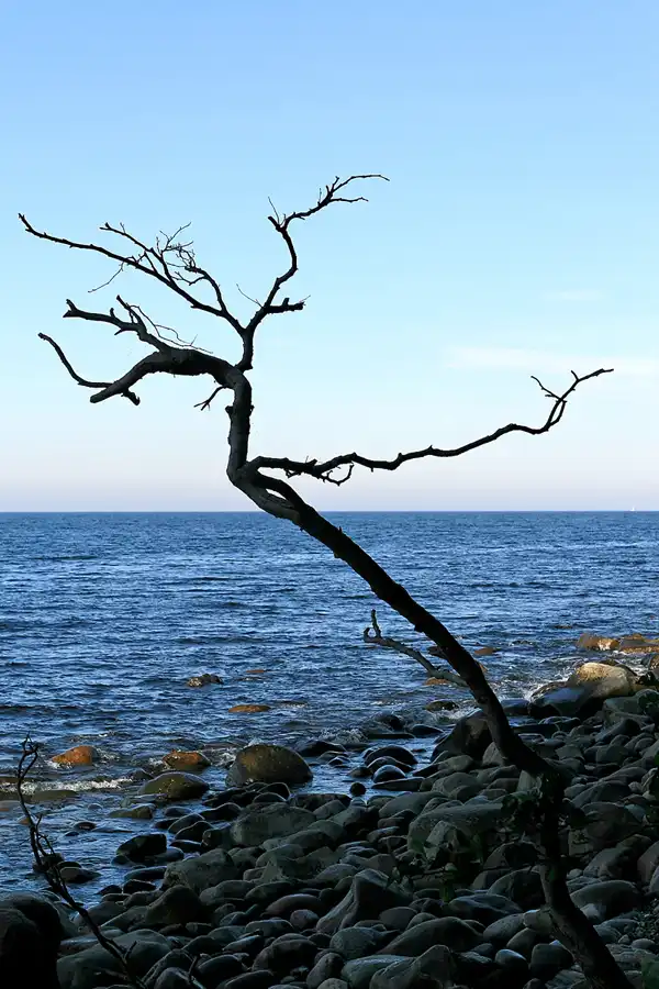 036 | 2006 | Lohme – Nardevitz – Lohme | © carsten riede fotografie