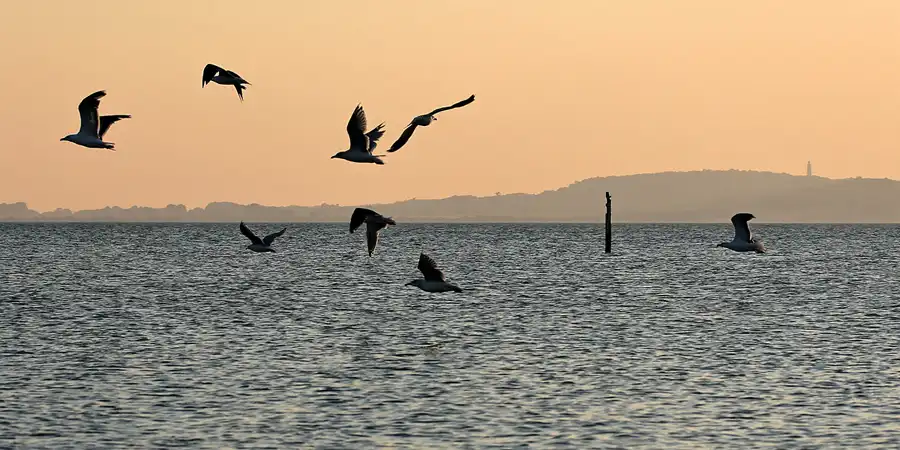 045 | 2006 | Dranske | © carsten riede fotografie