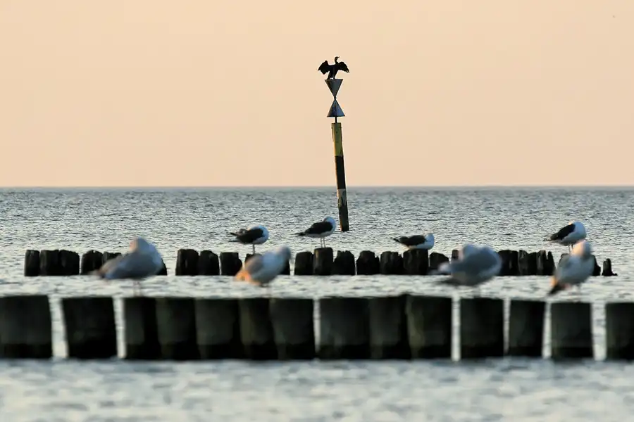 046 | 2006 | Dranske | © carsten riede fotografie