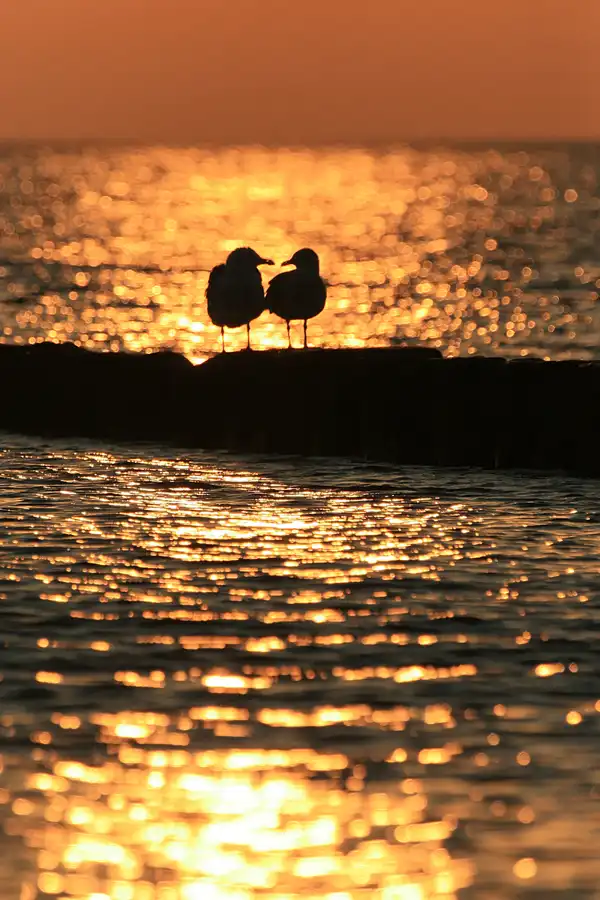 047 | 2006 | Dranske | © carsten riede fotografie