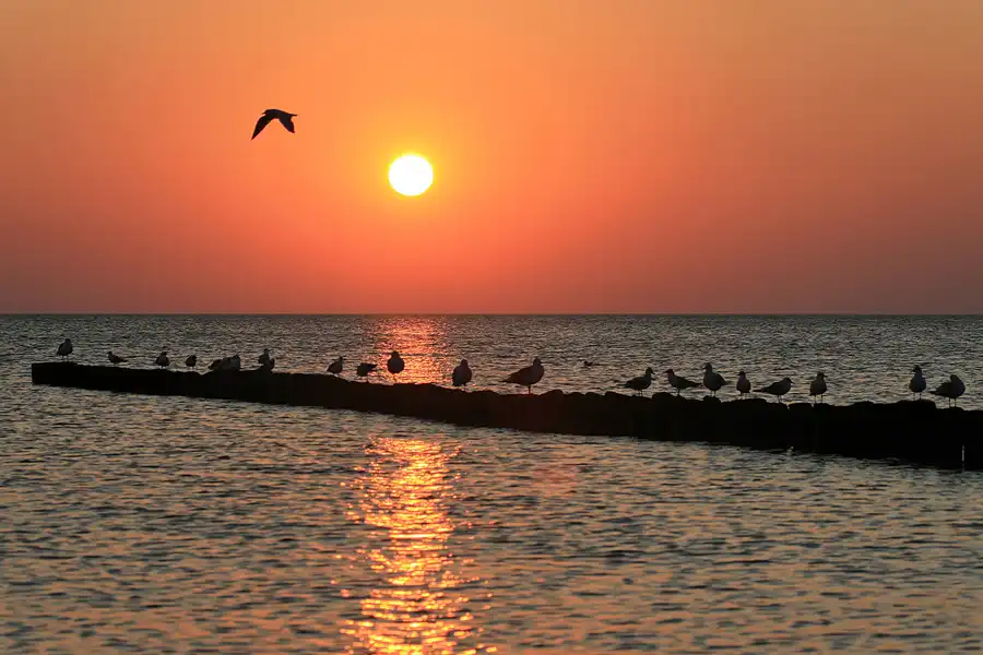 048 | 2006 | Dranske | © carsten riede fotografie