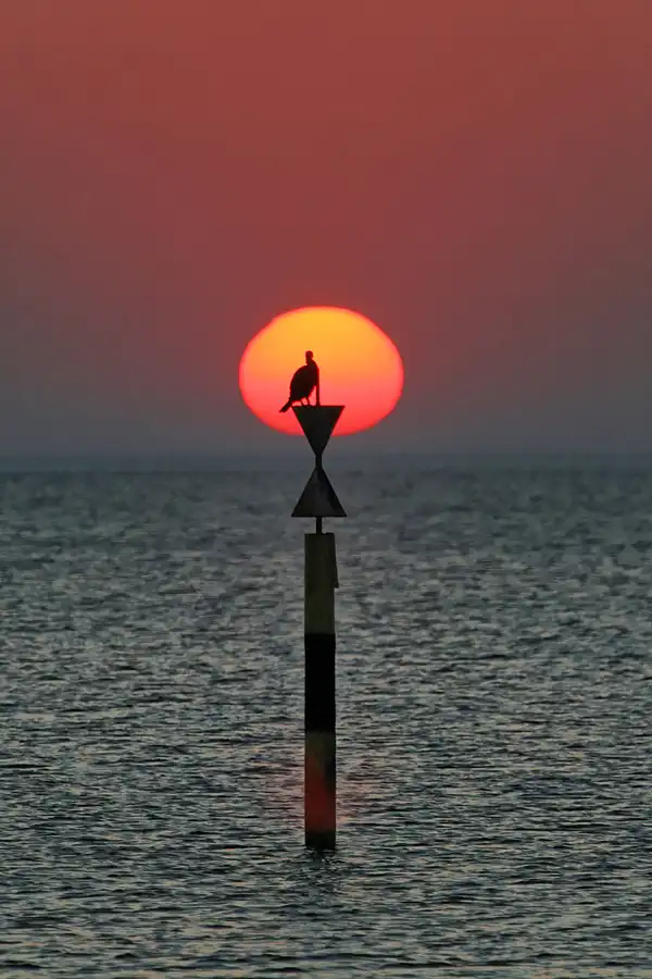 051 | 2006 | Dranske | © carsten riede fotografie