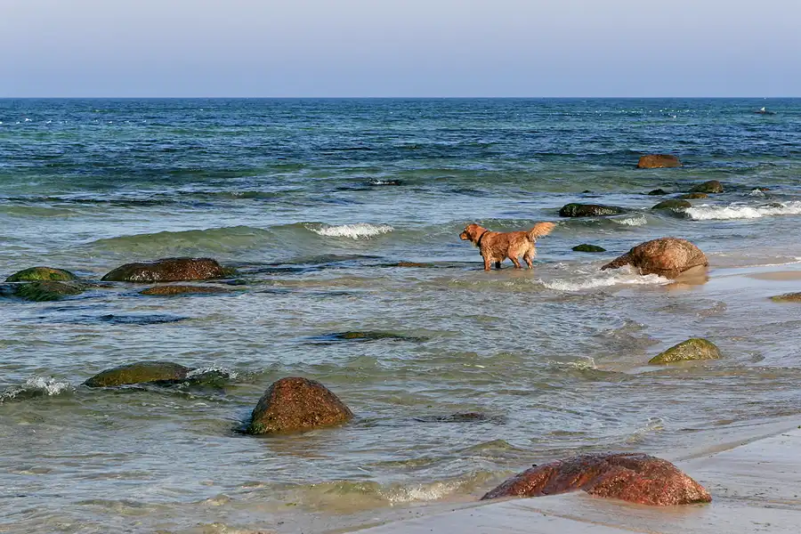 059 | 2006 | Kap Arkona | © carsten riede fotografie