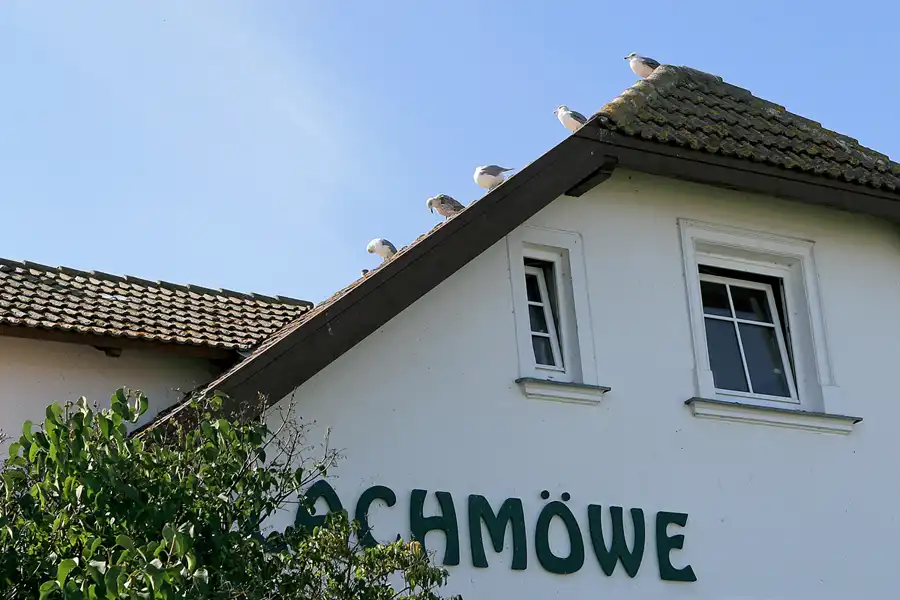 145 | 2006 | Hiddensee | © carsten riede fotografie