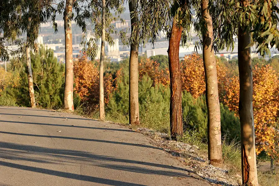 041 | 2006 | Barcelona | Circuit De Catalunya | © carsten riede fotografie