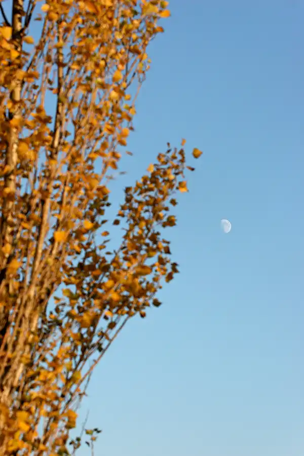 069 | 2006 | Barcelona | Circuit De Catalunya | © carsten riede fotografie