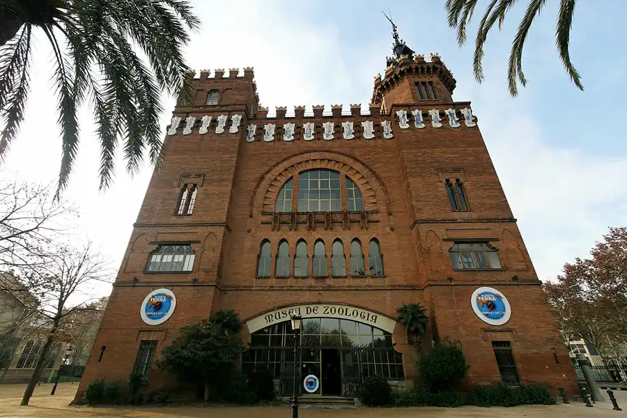 080 | 2006 | Barcelona | Museu de Zoologia Historia Natural | © carsten riede fotografie