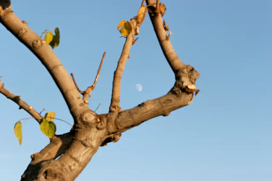 138 | 2006 | Barcelona | Rund um den Port Olimpic | © carsten riede fotografie