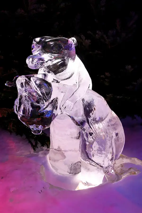 006 | 2006 | Lübeck | Ice World | © carsten riede fotografie