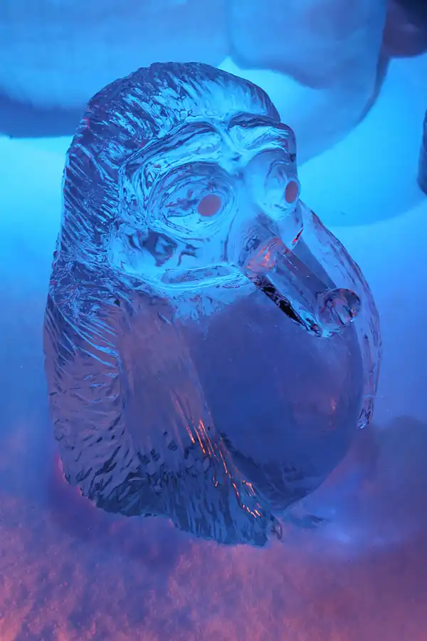 008 | 2006 | Lübeck | Ice World | © carsten riede fotografie