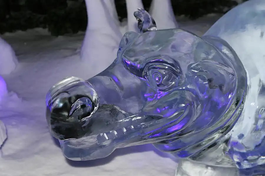 026 | 2006 | Lübeck | Ice World | © carsten riede fotografie