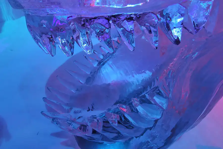 031 | 2006 | Lübeck | Ice World | © carsten riede fotografie