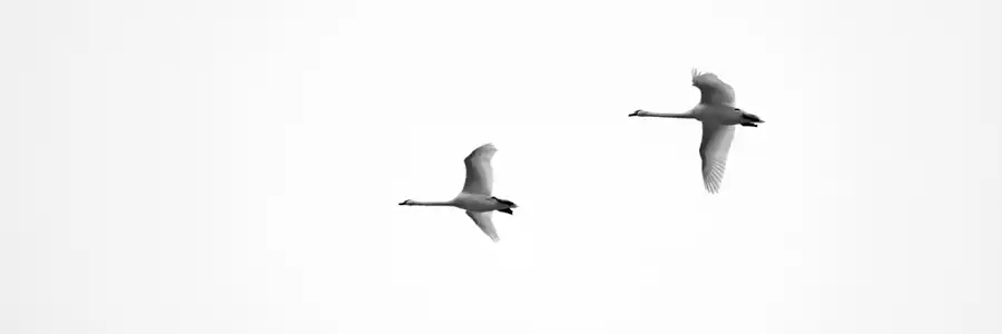 064 | 2006 | Travemünde-Niendorf | Brodtener Ufer | © carsten riede fotografie