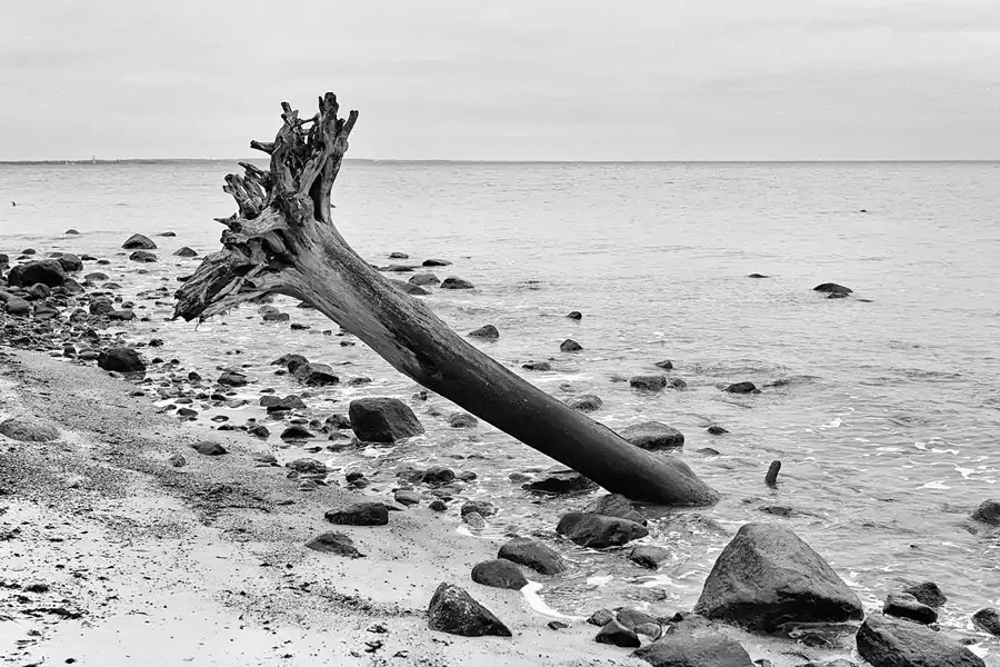067 | 2006 | Travemünde-Niendorf | Brodtener Ufer | © carsten riede fotografie