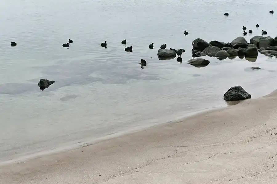 084 | 2006 | Travemünde | © carsten riede fotografie